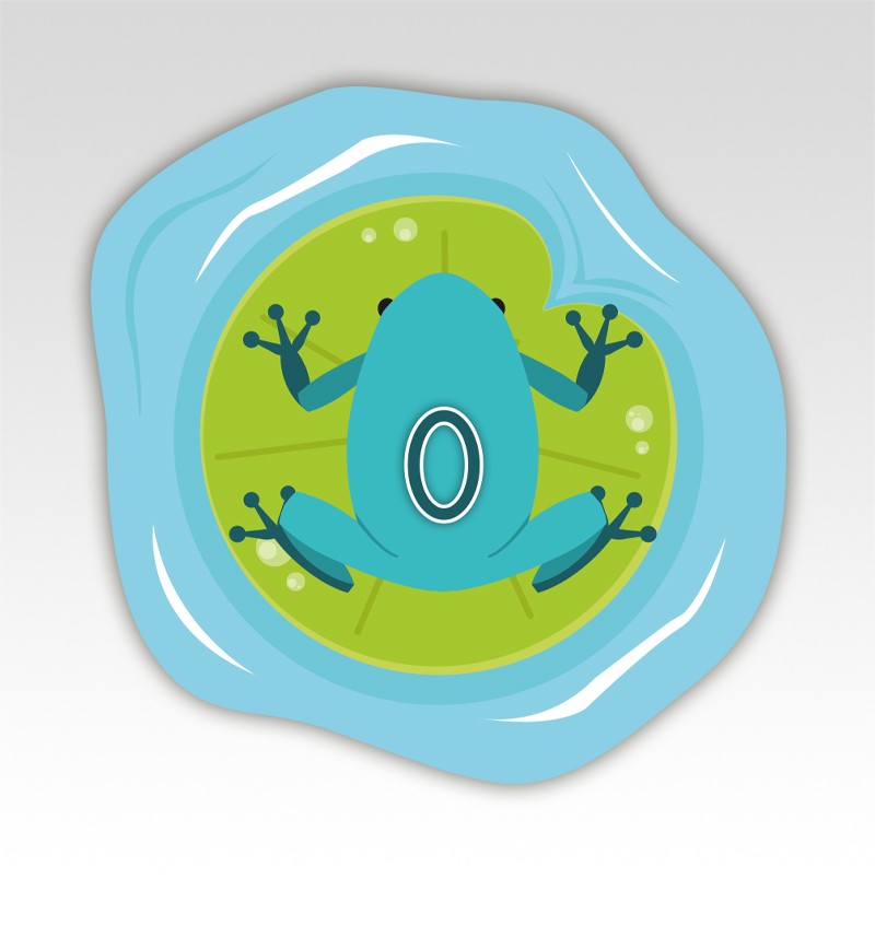 Kikkers Cijfermatjes Leren Tellen