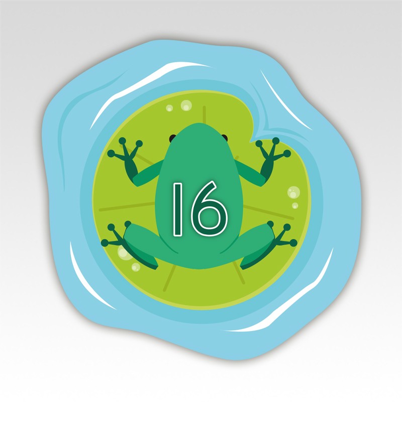 Kikkers Cijfermatjes Leren Tellen