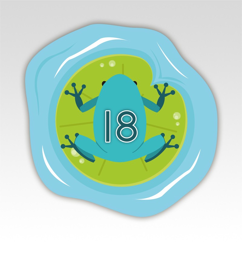 Kikkers Cijfermatjes Leren Tellen