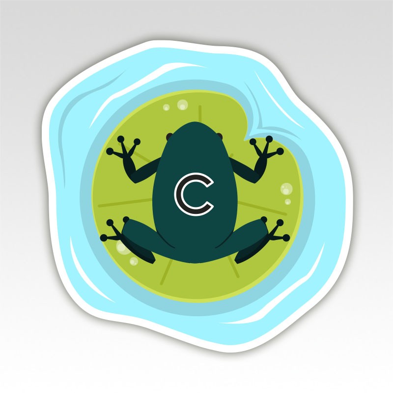 Kikkers Lettermatjes Alfabet