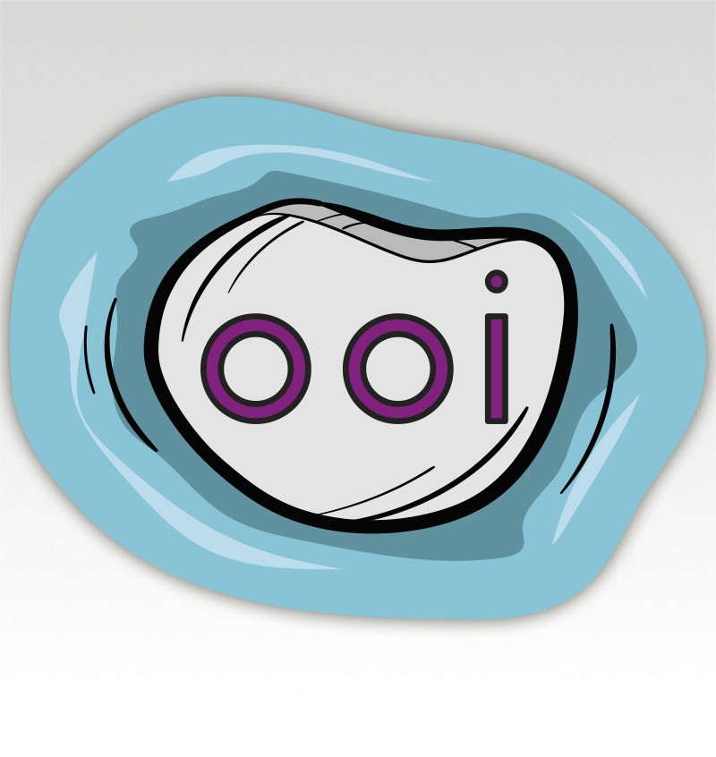 Stapstenen Lettermatjes Klanken