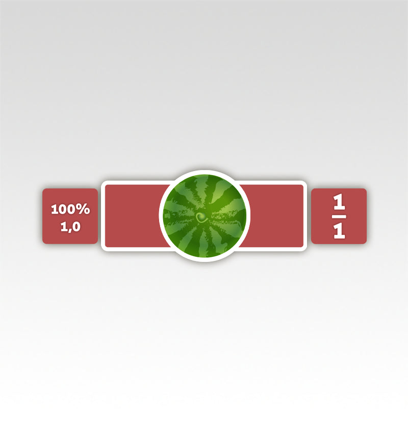 Breuken Rekenmatjes Watermeloen