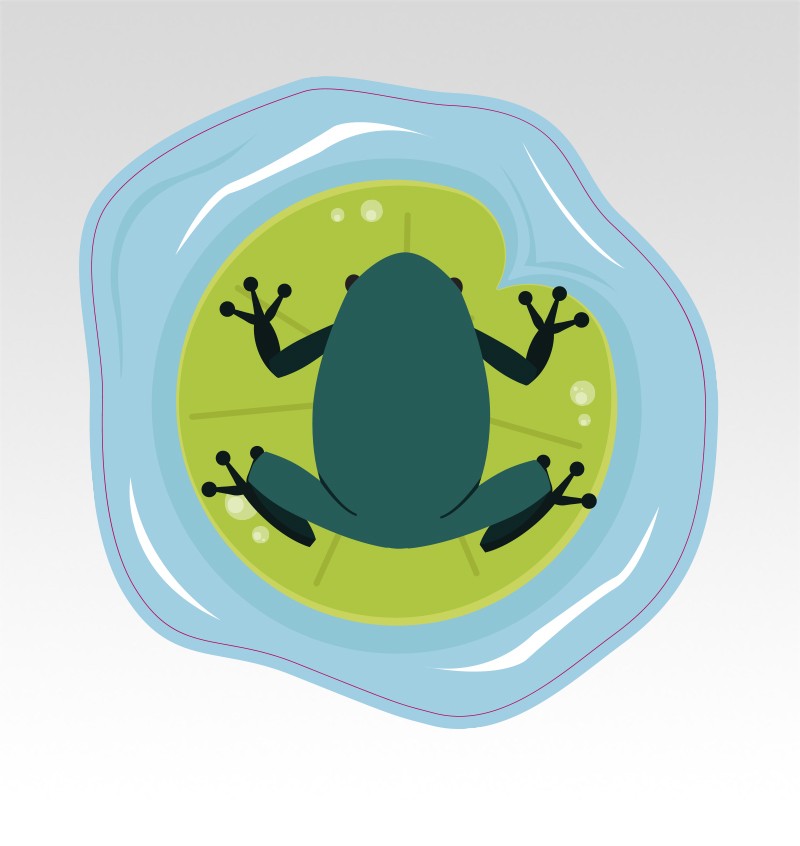 Handen en Voeten Parcours - Bewegend Leren met kleuren, vormen en getallen